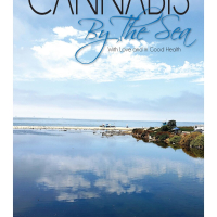 Cannabis By The Sea Recommends Our Primer
