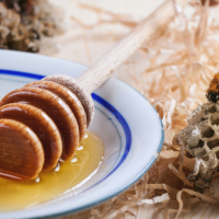 The Mysteries of Cannabis Honey