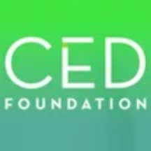 snapshot of CED's review