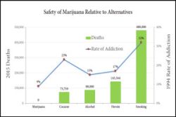 risks chart
