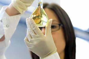 researcher studying vial of cannabis extract